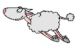 concours en blanc Moutons-
